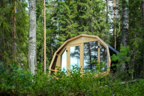 Hidden House Pirttijärvi Jämsä